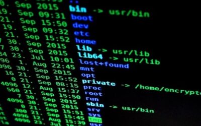 Tech Insight – What Are Firewalls?