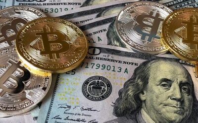 Tech News : Suspected Cannabis Farm Turns Out To Be A Bitcoin Mining Farm