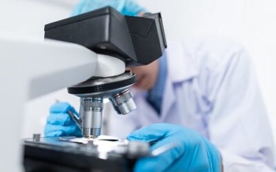 Tech News : World’s First “Living Robots” Can Now Reproduce