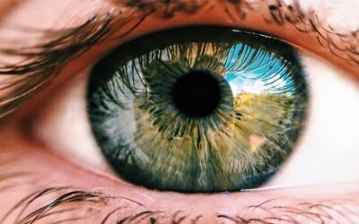 Tech Insight : Augmented Vision From ‘Smart’ Contact Lenses?  