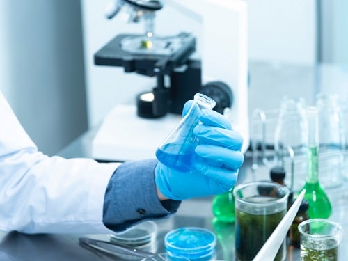 Tech News : ‘Sentient’ Human/Mouse Brain Plays Video Pong