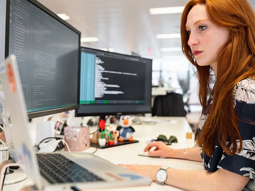 Featured Article : How Investment In Sustainability Could Protect Against Disruption