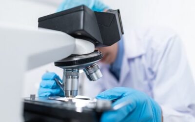 Tech News : Could ‘Organoid’ Computers Be Next?