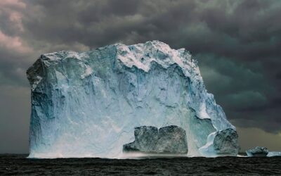 Tech Trivia : Did You Know?