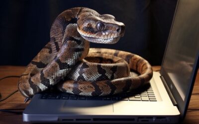 Tech Insight : Python in Excel … So What?