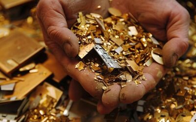 Sustainability-in-Tech : How Cheese Helped Extract Gold From E-Waste